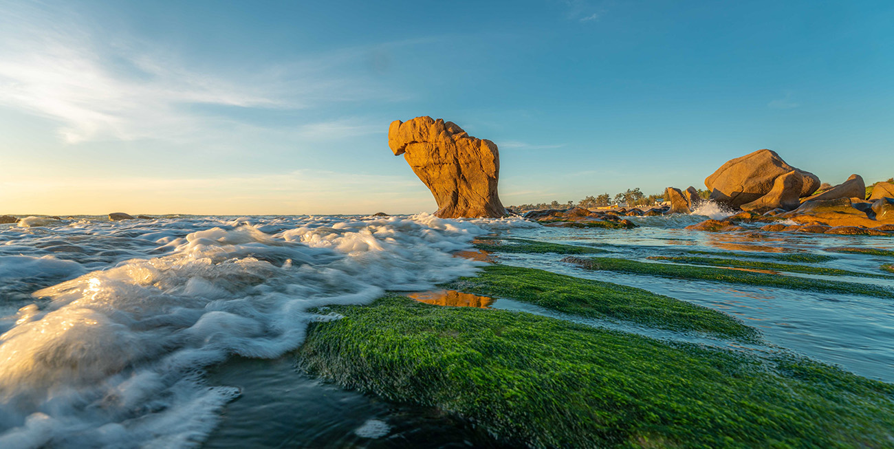 Taxi Phan Thiết